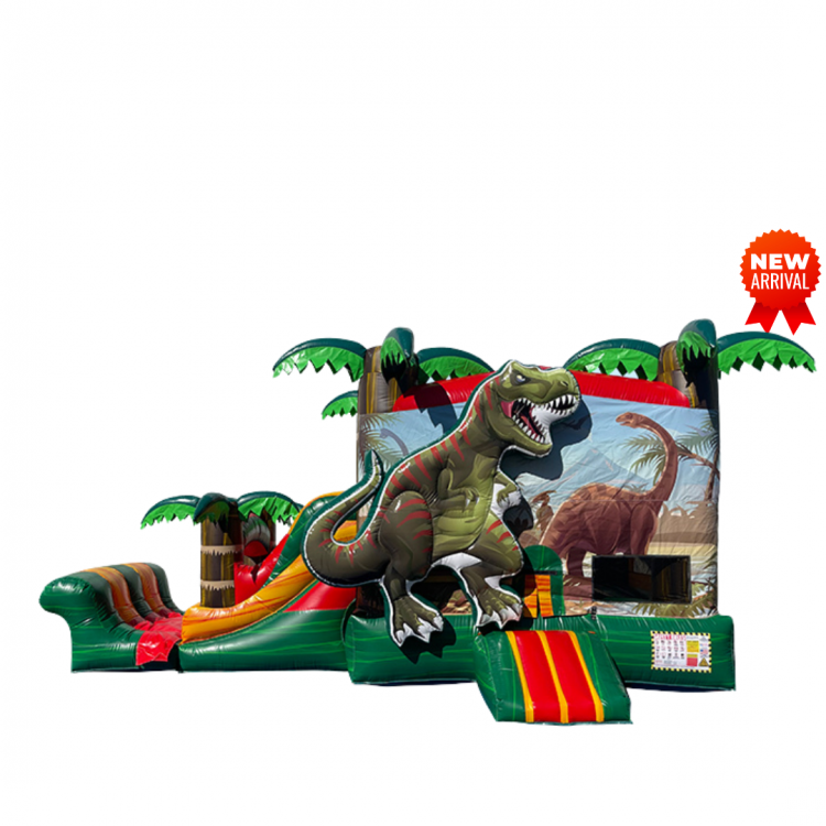 T-Rex Dinosaur 3D Combo Dry