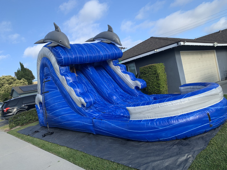 13' Blue Dolphins Dual Water Slide