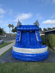 IMG 5921 1752641835 13' Blue Dolphins Dual Water Slide