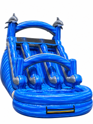 6605bcec 31ab 45c1 908f 955a4000fe1c 1790723494 16' Dolphin Dual Water Slide