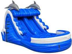 13' Blue Dolphins Dual Water Slide