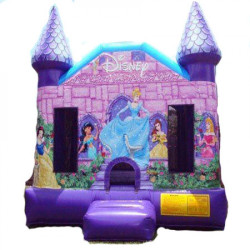 Princess Castle